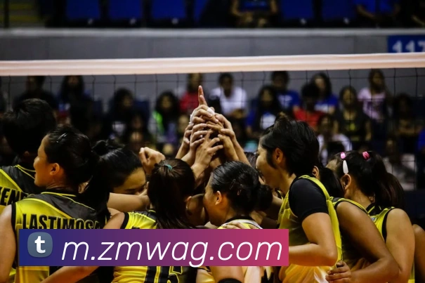 ag官网发展历程